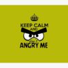 flat750x075f pad750x1000f8f8f8.u2 19 - Angry Birds